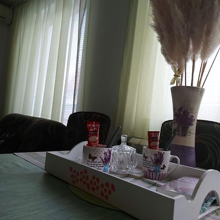 Stancicmilena Apartment Pozarevac Luaran gambar