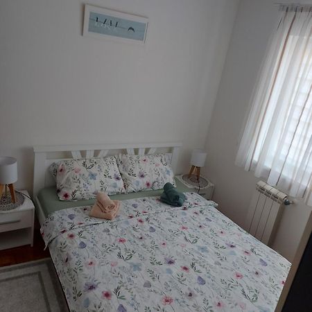 Stancicmilena Apartment Pozarevac Luaran gambar