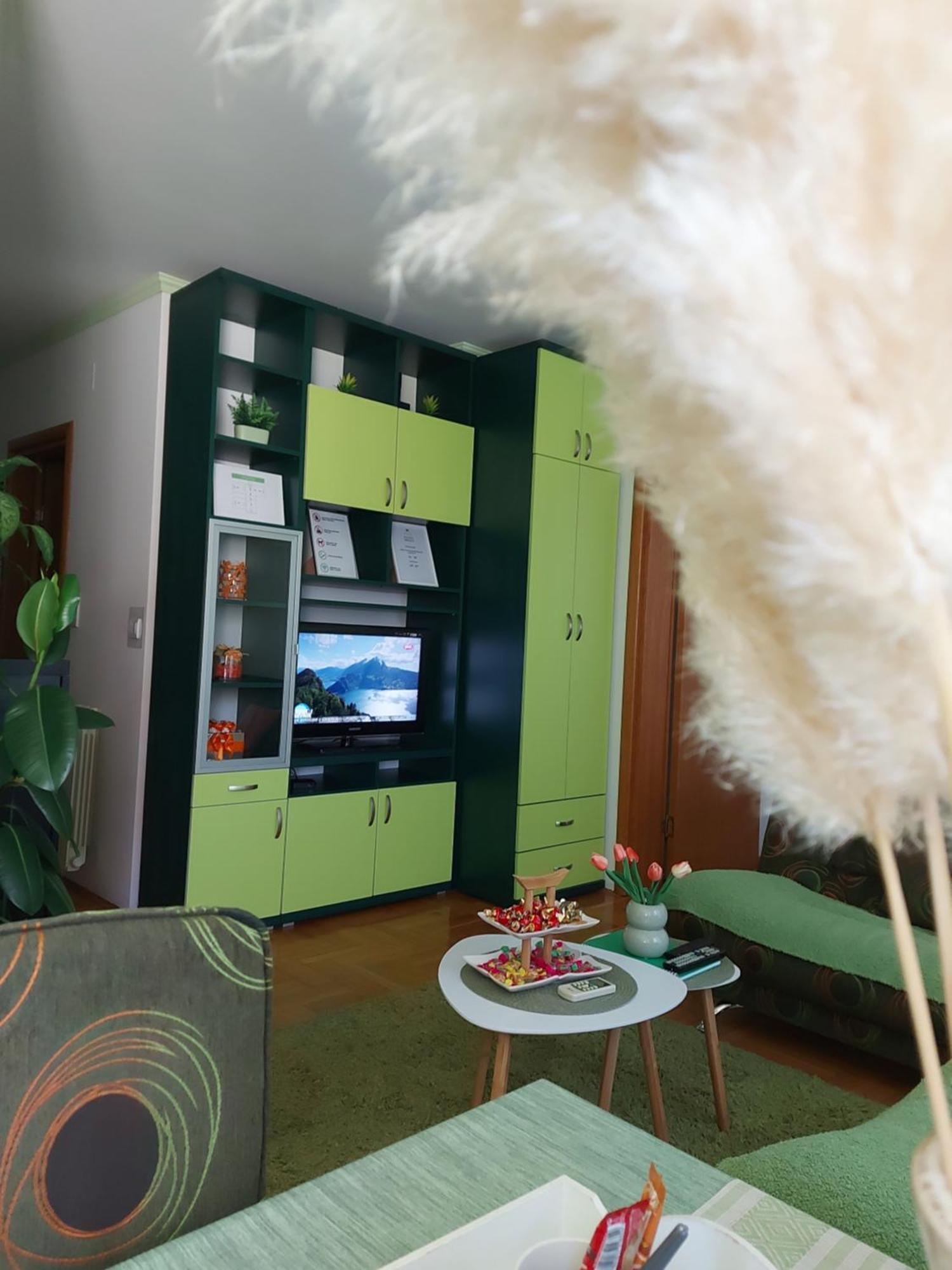 Stancicmilena Apartment Pozarevac Luaran gambar