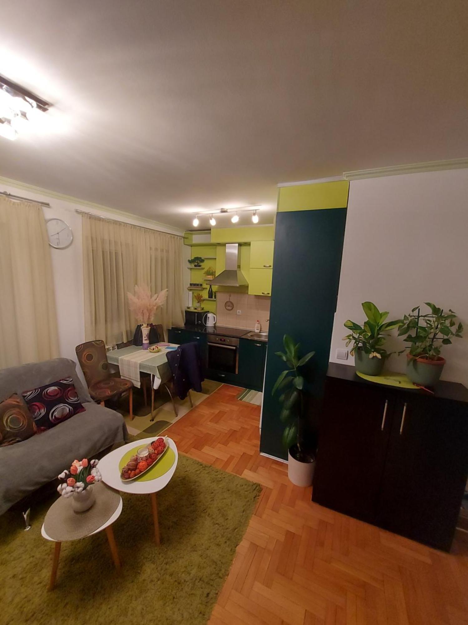Stancicmilena Apartment Pozarevac Luaran gambar