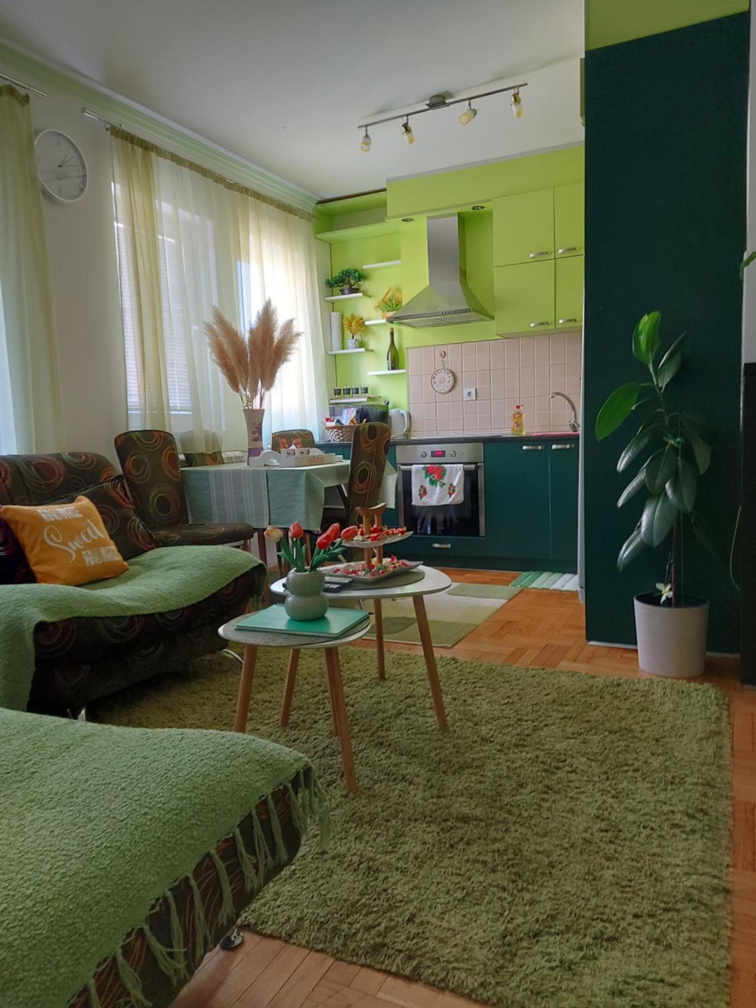 Stancicmilena Apartment Pozarevac Luaran gambar