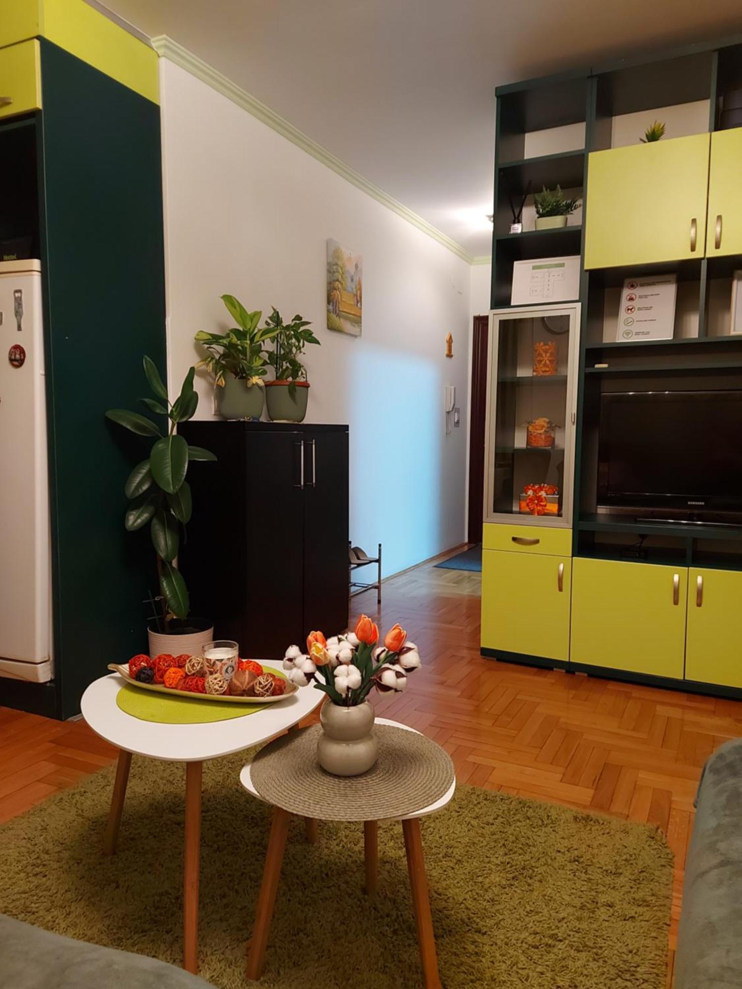 Stancicmilena Apartment Pozarevac Luaran gambar