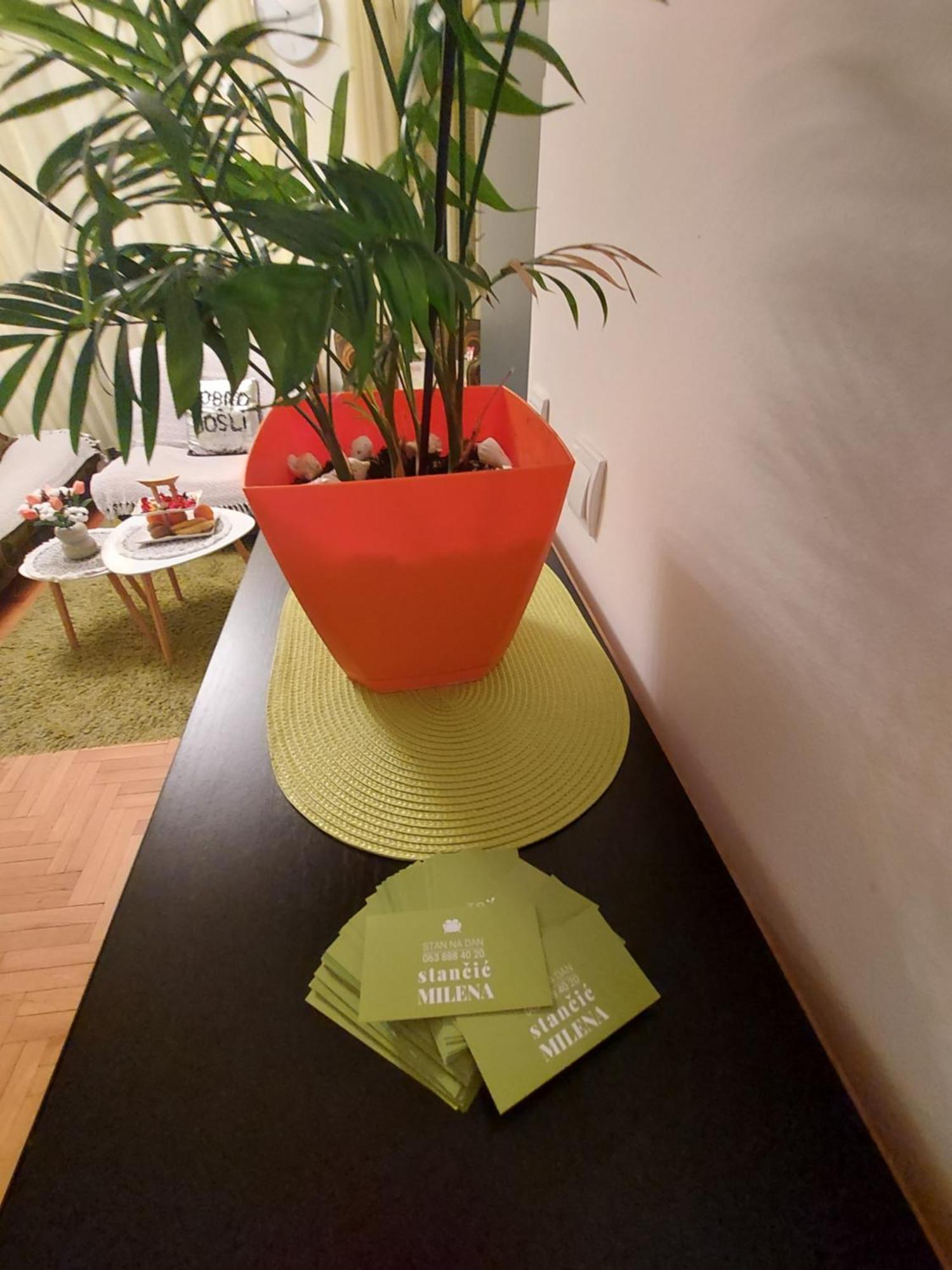 Stancicmilena Apartment Pozarevac Luaran gambar